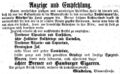 Zeitungsanzeige von Gindelen, Blumenstraße, November 1862