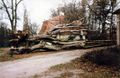 Umgestürzte Bäume im Schlosspark Burgfarrnbach, 1992