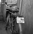 Fahrrad des Fahrradhandel Reil