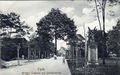 Alte Ansichtskarte vom Stadtpark mit <!--LINK'" 0:49-->, im Hintergrund die <!--LINK'" 0:50-->. Postkarte gelaufen am 10. / 11. November 1916.
