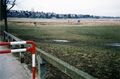 Blick vom Käppnersteg in den Wiesengrund, Februar 1998 – im Hintergrund <!--LINK'" 0:10--> und <!--LINK'" 0:11-->