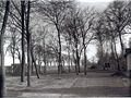 Wirtsgarten der Restauration "Zur Erholung", 1929
