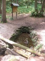 Scherbsgrabenquelle im Stadtwald