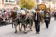 Erntedankfestzug Okt 2024 144.jpg