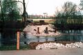 Bau einer Behelfsbrücke über die  im Rahmen der Baumaßnahme <i>Regenüberlaufbecken</i> im , April 2000