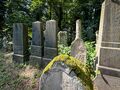 Alter Jüdischer Friedhof im September 2024