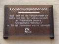 Hornschuchpromenade Infotafel.JPG