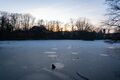 Stadtparkweiher im Winter - mit dünner Eisschicht, Dez 2024