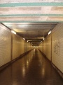 <!--LINK'" 0:116-->, Blick von Süden in den Tunnel.