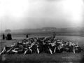 Massengrab der 54 Opfer des Brandunglücks im Pulvermagazin 1917 (im Hintergrund ist die <!--LINK'" 0:93--> und das <!--LINK'" 0:94--> zu erkennen)