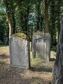 20240901 FUERTH ALTER JUEDISCHER FRIEDHOF 012