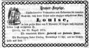 Baur 1874.jpg