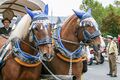 Erntedankfestzug Okt. 2014