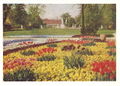 Gartenschau 1951, Blick vom Empfangsgarten über die Wasserspiele mit Ausstellungskaffee. Historische Postkarte