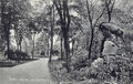 Stadtpark Mähnenschaf 1930.jpg