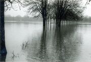 NL-FW 04 1268 KP Schaack Hochwasser 8 Dez 1974.jpg