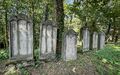 20240901 FUERTH ALTER JUEDISCHER FRIEDHOF 010