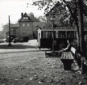 Seyfriedsches Gartenhaus 1937 Billinganlage.jpg