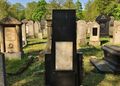 Grabstätte von  auf dem neuen jüdischen Friedhof an der <a class="mw-selflink selflink">Erlanger Straße</a>