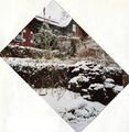 Winter Impressionen im Garten der alten Villa <!--LINK'" 0:31--> im Februar <!--LINK'" 0:32-->