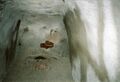 Besichtigung des Luftschutzbunkers und  mit zugemauerten Spritzbeton Gang im Zusammenhang mit der Ausstellung "Monster im Untergrund" von  am 17. Juli 2004