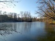 Stadtparkweiher Winter 2016.JPG