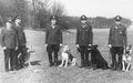 Die Hundestaffel der Stadtpolizei Fürth 1967