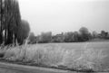 Frost im Wiesengrund Stadeln mit Pappelallee an der  - im Hintergrund die Gebäude an der unteren 