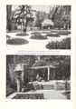 Garten und Landschaft 6 1951 S. 12.jpg