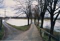 Hochwasser im <!--LINK'" 0:169-->, Blick über den <!--LINK'" 0:170--> von der <!--LINK'" 0:171--> aus im Januar 1987