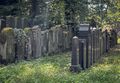 20240901 FUERTH ALTER JUEDISCHER FRIEDHOF 014