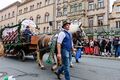 Fuhrwagen der Brauerei Ammerndorf mit den Braumeister:innen am Erntedankfestzug zur Fürther Kärwa, Okt. 2019