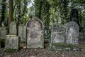 20240901 FUERTH ALTER JUEDISCHER FRIEDHOF 019