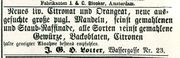 Werbung 1884 Lotter 2.jpg