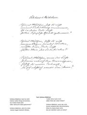 Gedicht Hans Wildensinn.jpg