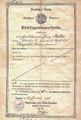 Einbürgerungsurkunde Giorgio Mulini aus dem Jahre 1926 NEW.jpg