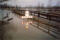 Hochwasser im <!--LINK'" 0:37-->, im Hintergrund die Allee am <!--LINK'" 0:38--> im Februar <!--LINK'" 0:39-->