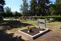 abgeräumte Gräber im Friedhofs Stadeln - im Hintergrund das  - Juni 2022