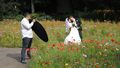 <!--LINK'" 0:140--> Fürth 2014 - Hochzeitsfoto mit vollem Fotografeneinsatz