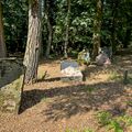 20240901 FUERTH ALTER JUEDISCHER FRIEDHOF 005