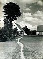 Der Wiesenweg am südwestlichen Ortsrand am Regnitzgrund in Stadeln, 1930er Jahre