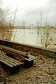Pegnitz-Hochwasser, im Hintergrund Häuserzeile am <!--LINK'" 0:133--> mit Y-Hochhaus <!--LINK'" 0:134-->, Dezember 1993