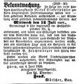 Moses Dinkelspühler Konkursverfahren, Allgemeine Zeitung 22. Juni 1859