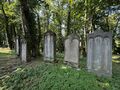 20240901 FUERTH ALTER JUEDISCHER FRIEDHOF 009