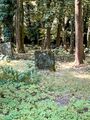 20240901 FUERTH ALTER JUEDISCHER FRIEDHOF 008