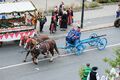 Erntedankfestzug Okt 2017 21.jpg