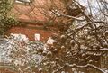 Winter Impressionen im Garten der alten Villa <!--LINK'" 0:23--> im Februar <!--LINK'" 0:24-->