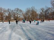 Stadtparkweiher Winter 2017.jpg