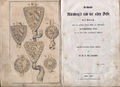 Titel: Geschichte der alten Veste von Dr. G. T. Chr. Fronmüller,  1860