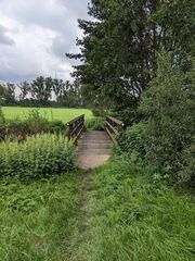 20230830 Fußwegbrücke c.jpg